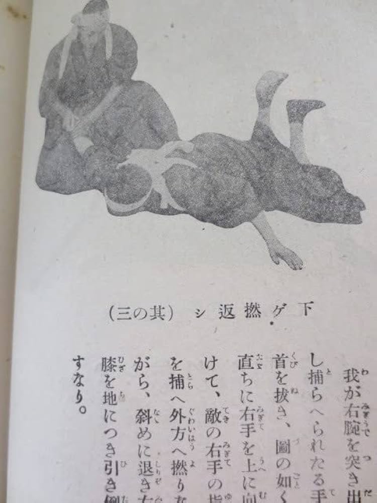 Amazon.co.jp: a724武道極意 護身術秘伝神武館館長 中澤蘇伯精文