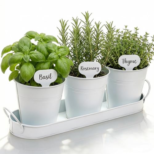 Image of Hiceeden Set of 3 Herb Garden Planter with Labels, Indoor Herb Pots with Drainage Holes, Metal Herb Garden Set with Tray for Windowsill or Countertop, White