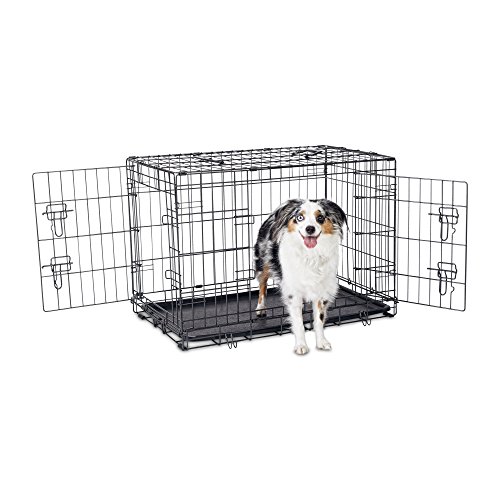 Petco Premium 2Door Dog Crate, 30" L x 19" W x 21" H WantItAll