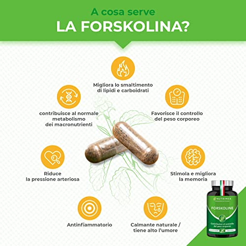 FORSKOLINA | Supporta il Metabolismo | Controllo del Peso | 100% Naturale | Pianta Coleus Forskohlii | 60 Capsule Vegane | Nutrimea - 2