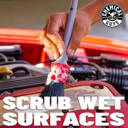 Kit de cepillos para detallado de Chemical Guys - Calidad superior profesional 3 Cepillos Detallados de Exterior Chemical Guys