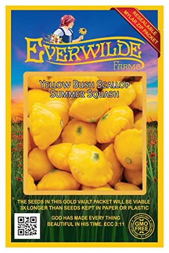 Everwilde Farms - 40 Scallop Yellow Bush Summer Squash Seeds - Gold Vault Seed Packet