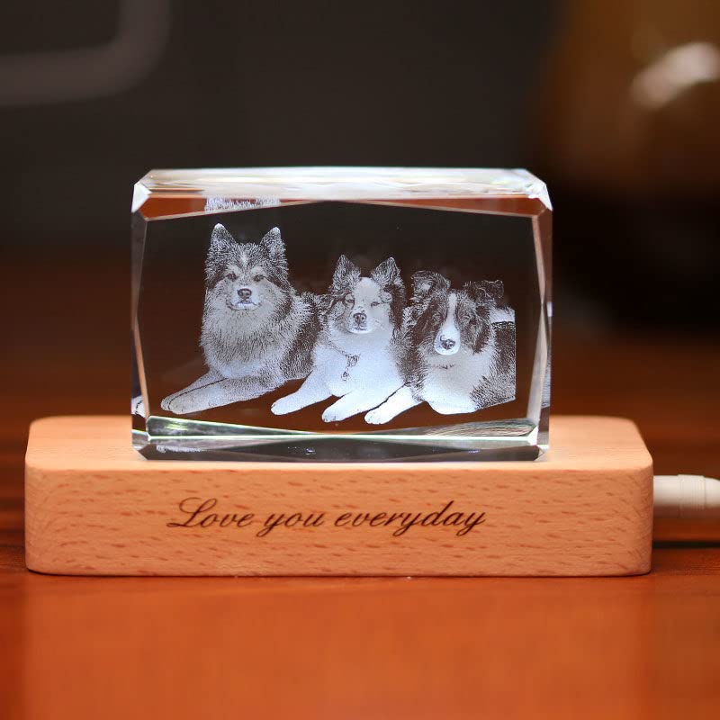 Amazon.com - Justyling 3D Crystal Photo, 3D Laser Etched Photo In