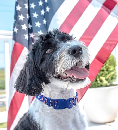 American Flag Medium Dog Collar 2Pack, Quick Release 4th of July Dog Collar, Red White and Blue Patriotic Dog Collar American Flag Medium Dog Collar 2Pack, Quick Release 4th of July Dog Collar, Red White and Blue Patriotic Dog Collar