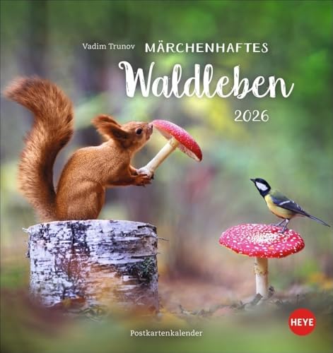 Vadim Trunov: Märchenhaftes Waldleben Postkartenkalender 2026: Der Tierfotograf fängt den Zauber der Waldtiere in seinen atemberaubenden Bildern ein. Süßer Tierkalender 2026. (Postkartenkalender Heye)