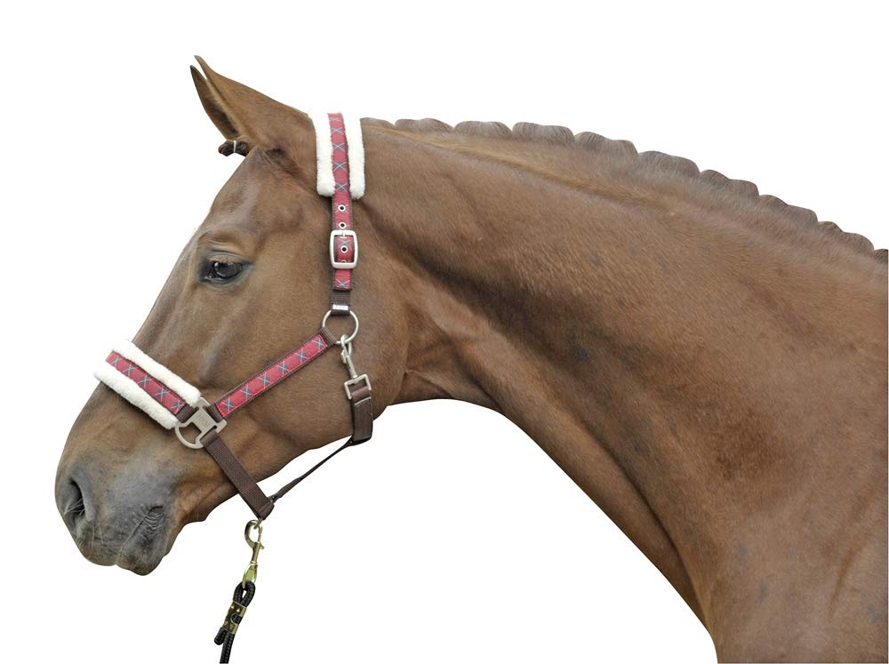 HKM541583 Halfter Vivien mit Plüschpolsterung, Warmblut, braun/karo