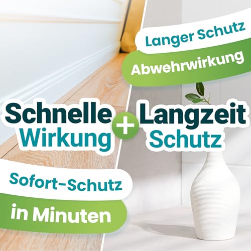 Silberfisch-Spray Homebugprotect 500ml – Effektive Lösung gegen Silberfische