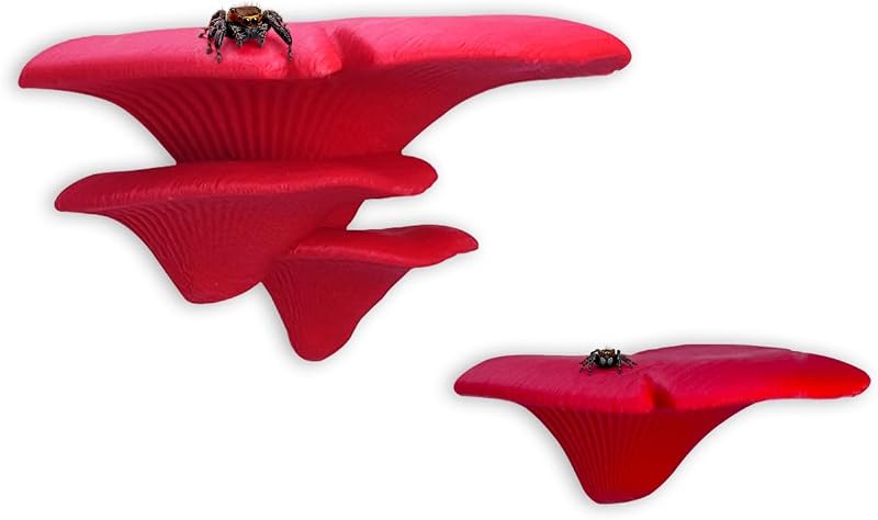 Decoração Cogumelo com Prateleiras Magnéticas para Habitat de Aranhas Saltadoras Daerky Vermelha