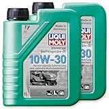 2 x Liqui Moly 1273 Huile universelle pour outils de jardin 10 W 30 4 temps 1 l