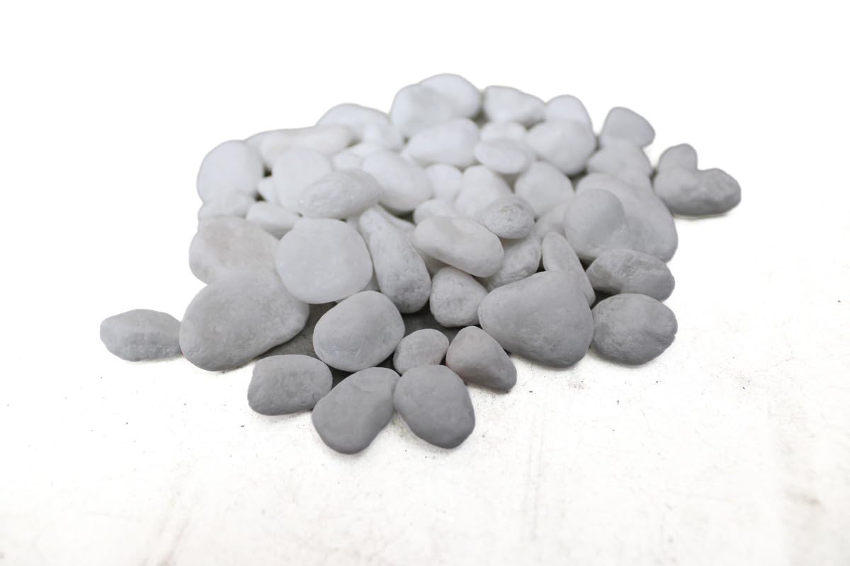 Pebbles, 2.5Kg Bag - Natural Decorative Rocks For Garden, Plants, Succulents, Vase, Landscape, And Outdoor Use White