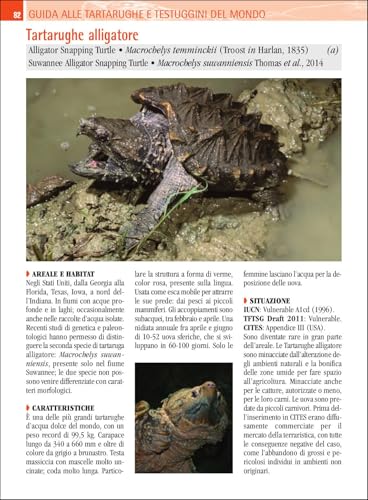 Guida Alle Tartarughe E Delle Testuggini Del Mondo. Ediz. A Colori - 3