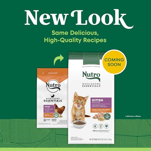 Image of Nutro Wholesome Essentials Kitten Food Dry Recipe for Early Development, Dry Cat Food, Farm-Raised Chicken & Brown Rice Recipe, 3 lb. Bag