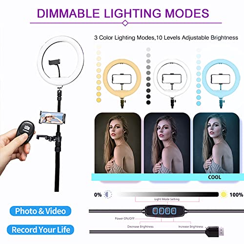 Ficha técnica Máquina de fotomatón 360 con software para fiestas actualización con anillo de luz logotipo gratuito control remoto por aplicación cabina de cámara giratoria automática de 360 grados soporte - Fernando Cortés