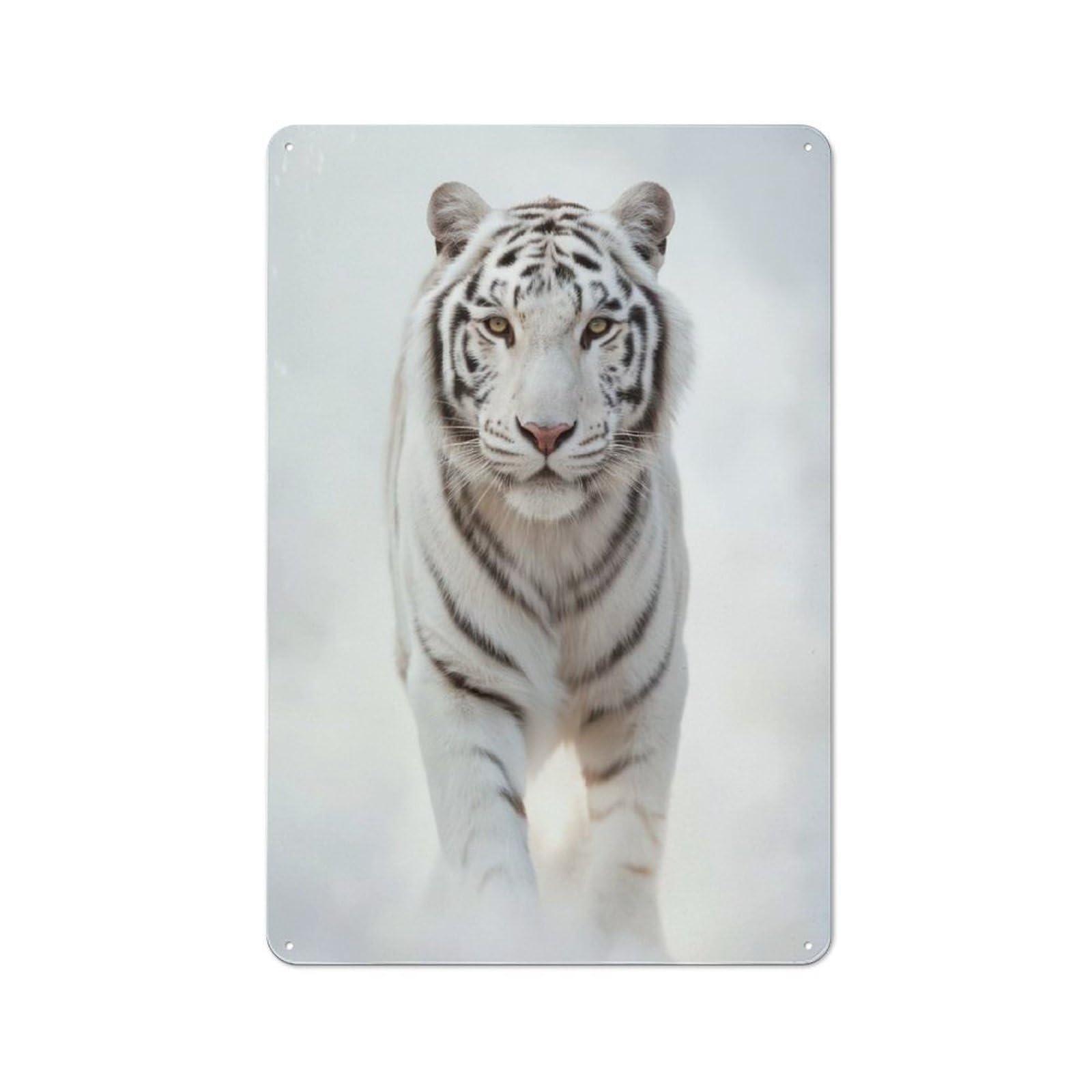 Retro Metal Wall Sign 30x20cm with White Bengal Tiger Walking in Snow for Pub Or Café, for Vintage Wall Decor Fans, for Cafés, Pubs And Restaurants