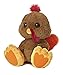 Aurora World Taddle Toes Stuffins Turkey Plush, 10