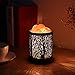 Natural Himalayan Salt Lamp, Zanflare Air Purifying Pink Salt Rock Lamp Night Light with Forest Design Metal Basket, Dimmable Touch Switch, Valentine's Day Gift