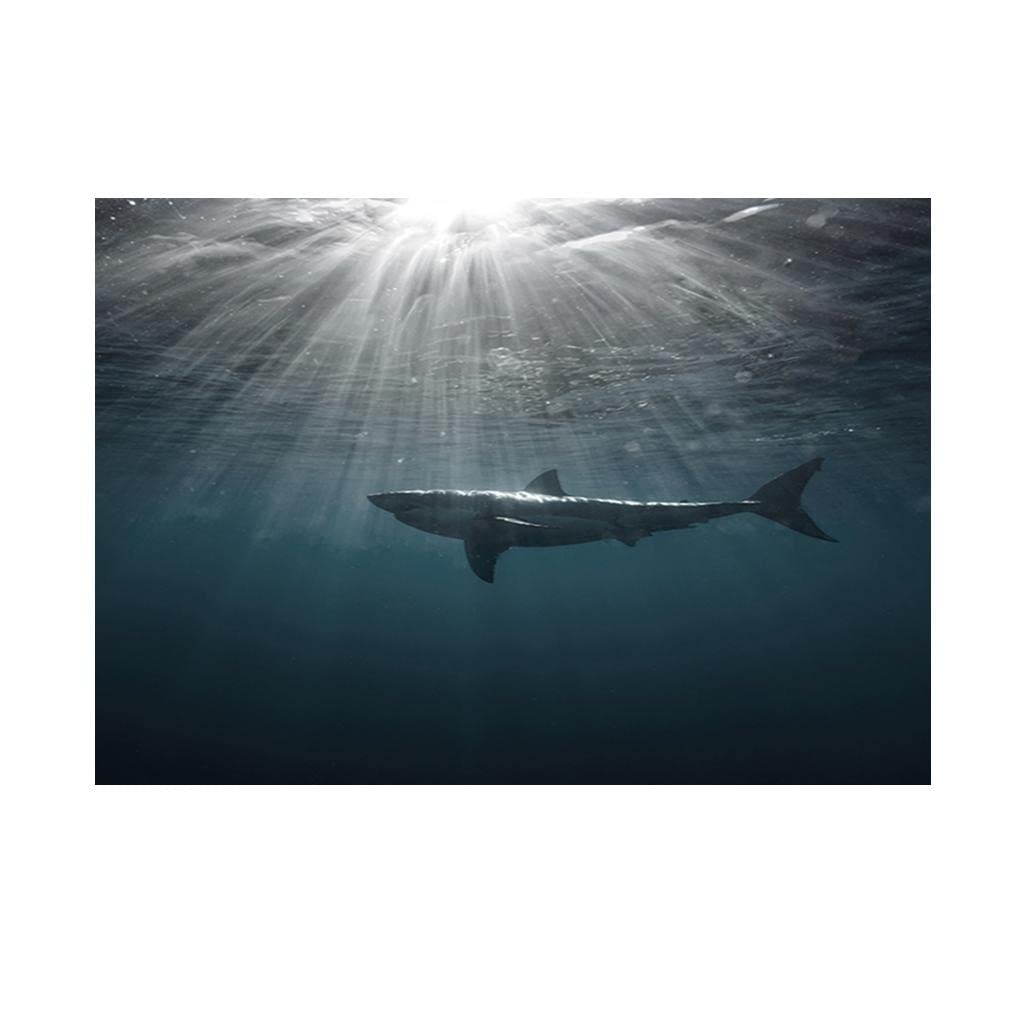 SAZ DEKOR Aquarium Fish Tank HD One Side Adhesive Background Shark Picture XL (B0CJM41B7G) Amazon Price History, Amazon Price Tracker