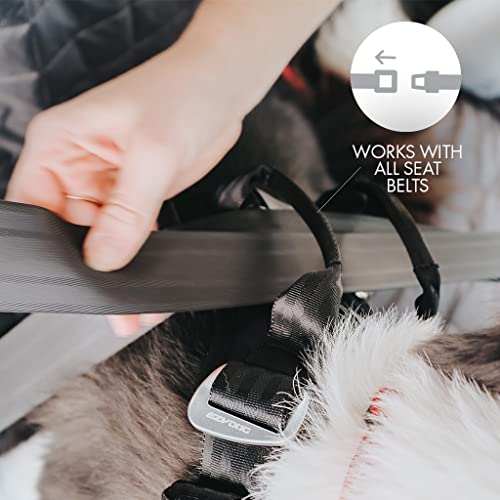 EzyDog Autogeschirr Hund – Crash-Getestet nach ECE R21 – Drive Sicherheitsgeschirr mit integrierter Gurtbefestigung fürs Auto (M, Schwarz)