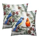 Mweet Juego de 2 fundas de almohada de invierno de 18 x 18 pulgadas, sofá