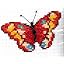 Butterfly 0-43