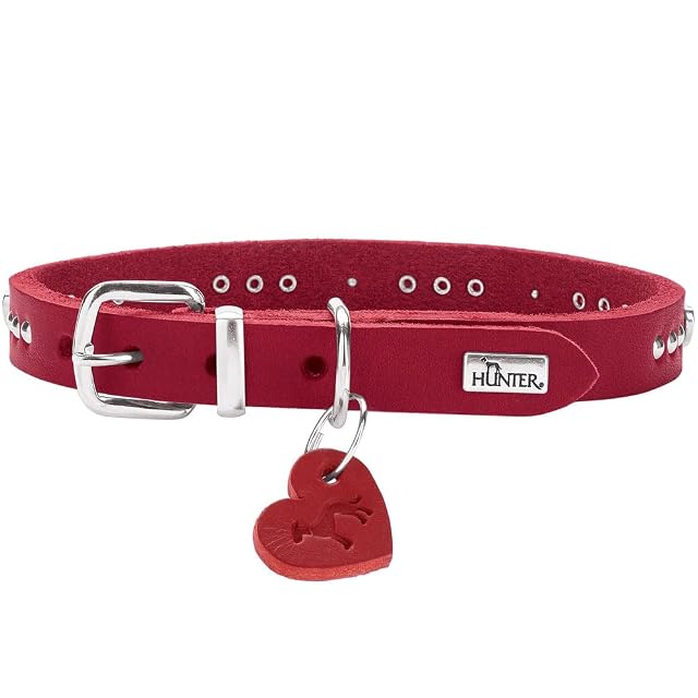 HUNTER Aalborg Hearts - Collar para Perro