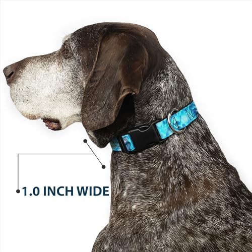 Collier pour chien Crunchyroll Mushoku Tensei accessoire canin réglable - 7