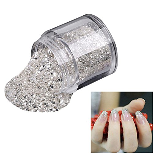 AMA(TM) 10g/Box Sliver Nail Glitter Powder Shinning Nail Mirror Powder Makeup Art DIY Chrome Pigment (Silver)