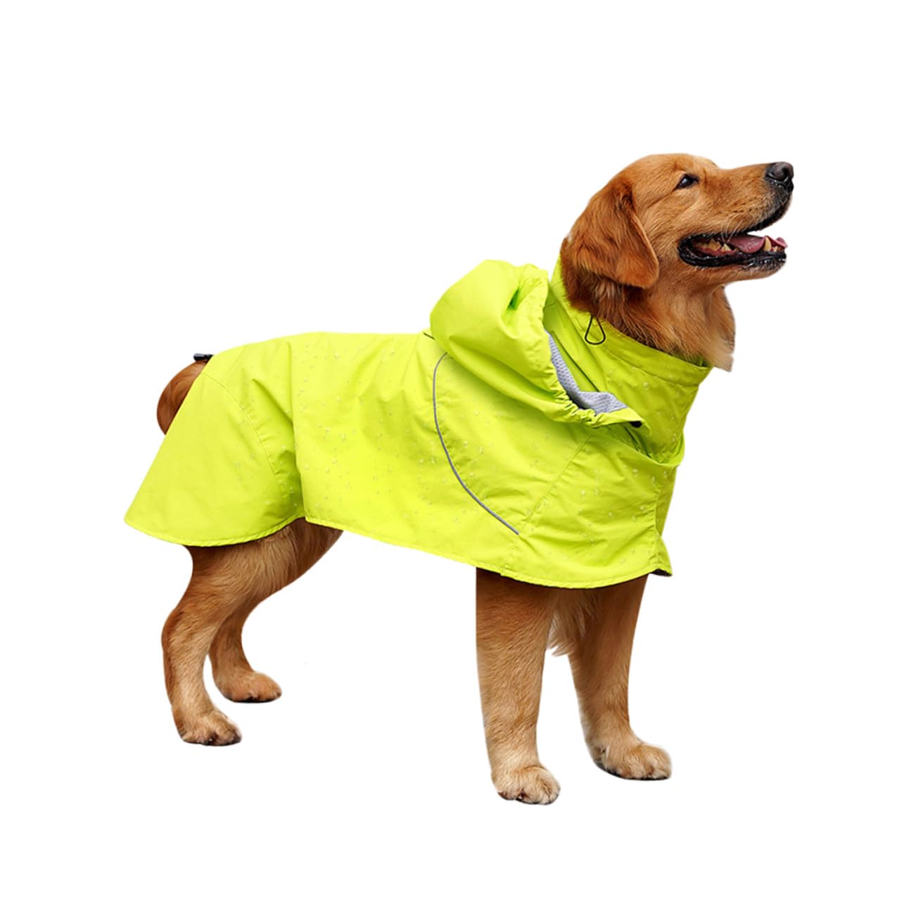Imperméable pour chien col haut Homoyoyo pour des promenades au sec en automne