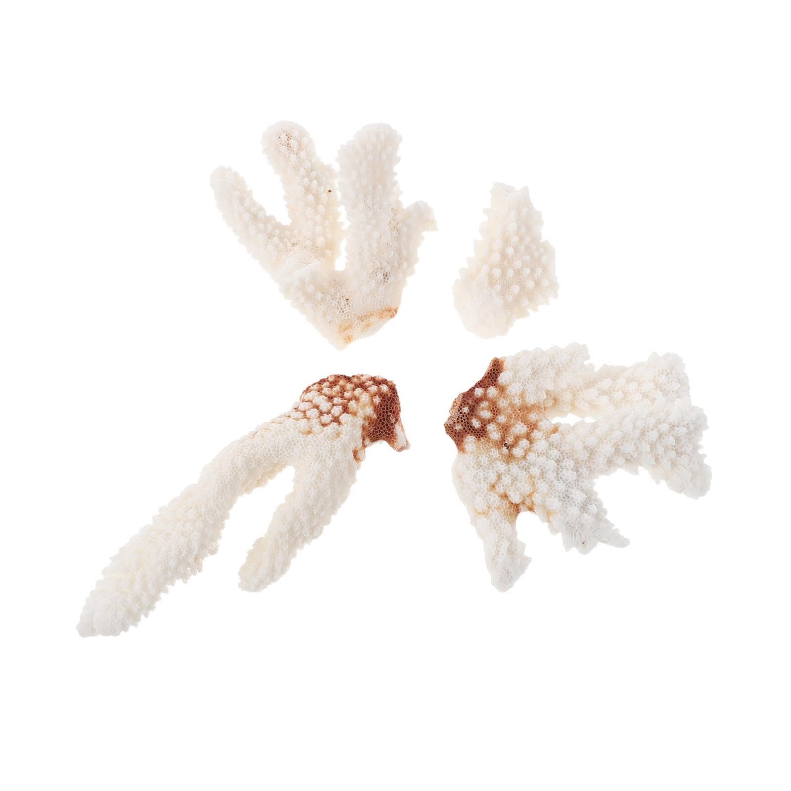 Echter Korallenast Aquarium Dekoration 200g Naturkoralle Riffgestaltung Unterwasser Deko Aquarien Ornament