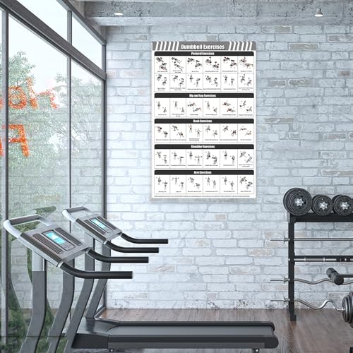 Gym Dumbbell Workout Poster for Men,Exercise Posters for Home Workouts,Fitness Follow-through Action Chart for Home Wall Decorations 16 * 24 IN Unframed