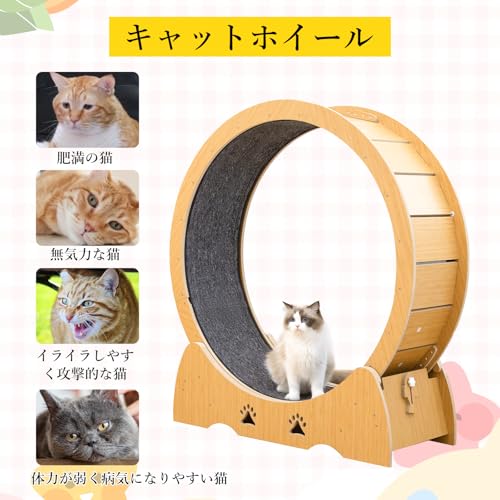 Shinyever キャットホイール 猫の車輪 猫用トレッドミル 直径100cm 猫ランニングホイール 回し車 猫用回し車 運動不足解消 低騒音とロック装置 の商品画像 6