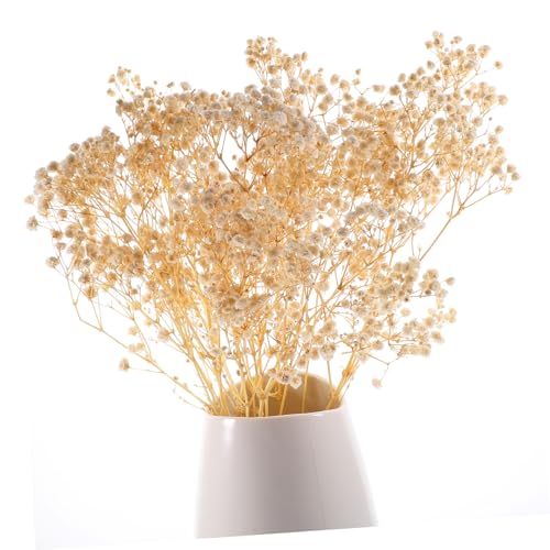 Ramo de flores secas para decoración y eventos miniatura 7