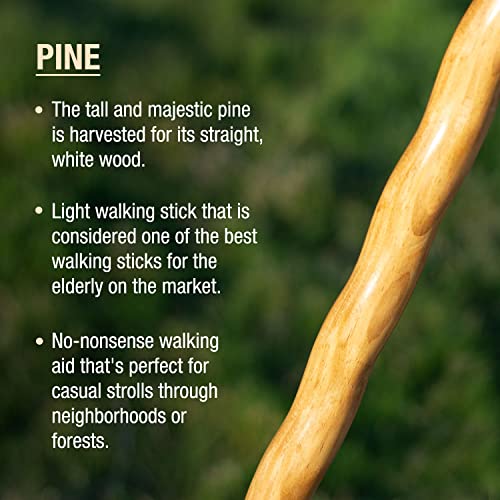 image for Brazos Handcrafted Wood Walking Stick, Twisted Pine, Trekker Style Han
