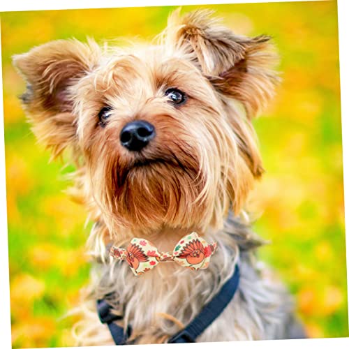 NOLITOY 2 Unidades Coleira De Estimação Coleira De Cachorro Do Dia Das Bruxas Coleira Decorativa Par