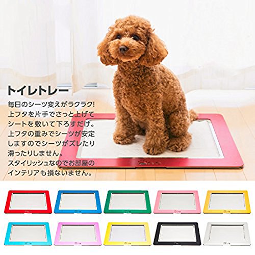 アワーズ（ours） ペット用トイレトレー　ゴールド Amazon | MATUMI (マツミ) アワーズ(Ours) トイレトレー ロゴ無し