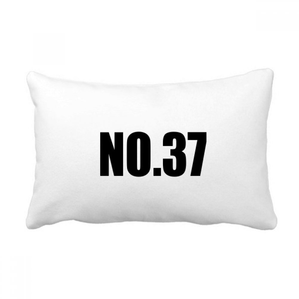 Coussin oreiller lombaire multicolore Chanceux No.37 grand format de décoration pour maison