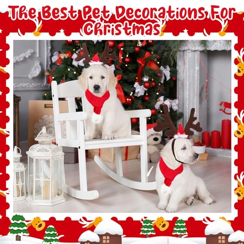 Set de disfraces navideños Sadnyy para perros pequeños y medianos miniatura 4