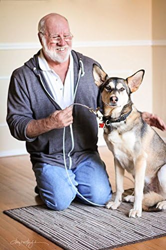 Miniatura 3 de Paul Owens, The Original Dog Whisperer - Correa de entrenamiento a prueba de masticación para perros y cachorros