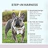 Furfect City Step in Dog Harness, No Pull No Choke, Durable Polyester Breathable mesh, Adjustable Strap, Quick Release Gold Hardware Metal Buckle, Soft Edges for Comfort (Yellow, Large) #3