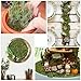 YUNVI 17.6 OZ Large Capacity Artificial Moss for Potted Plants,Natural Fake Moss Grass for Plants Indoor,Craft and Greenery Bulk for Hamsters(Fresh Green)