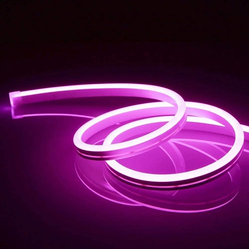 amiciVision Pink Neon LED Strip Light | 5m Long, Waterproof Decoration String Light with DC12V Adapter and Blinker (B0D8SZHGZ3) Amazon Price History, Amazon Price Tracker