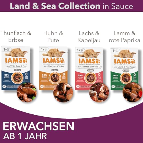 IAMS Delights Land & Sea Collection Katzenfutter Nass - Multipack mit Fleisch und Fisch Sorten in Sauce, Nassfutter für Katzen ab 1 Jahr, 12 x 85 g