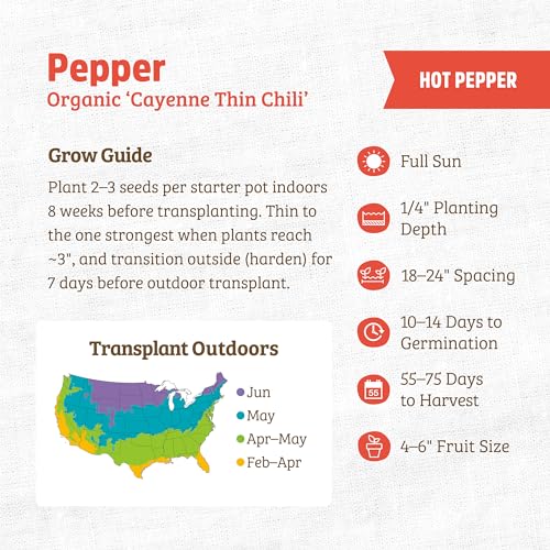 Back to The Roots 100% Organic Seed Packet - Chili Pepper 'Cayenne Thin' 140mg - Image 3