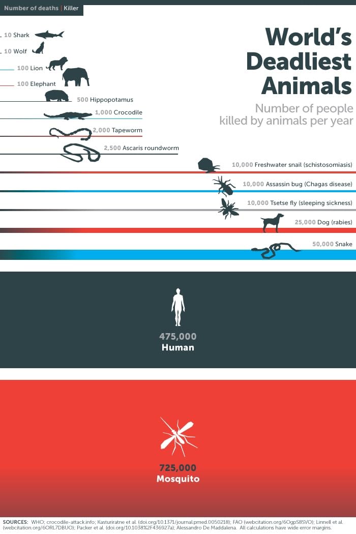 attractif anti moustiques tigres/communs pour piège à moustiques Nostiq 1600 Instinct-Nature pour piège extérieur sans danger pour les enfants et animaux domestiques