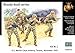 Masterbox USMC Infantry Tarawa 1943 Figure Model Building Kits (5 Figure) (1:35 Scale)