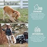 ReaVET Pfotenreiniger für Hunde mit Pfotenschaum, Hundepfoten Reiniger, Pfoten waschen Hund ohne Abspülen, Pfotenpflege mit Hamamelis & Gurke, Dog Paw Cleaner, Paw Foam Cleaner 150ml