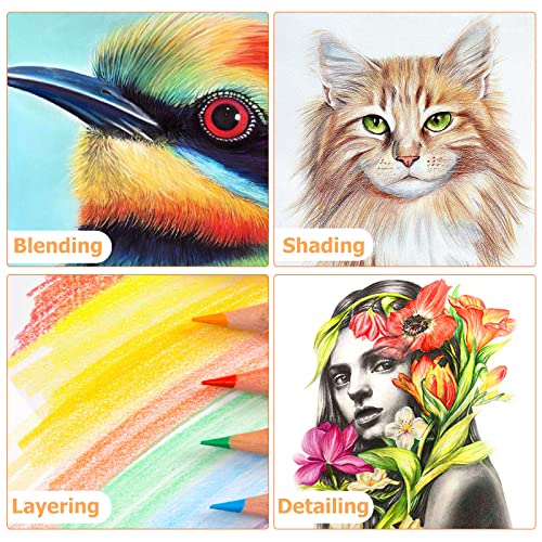 Homsun 120 Matite Colorate con Nucleo Morbido