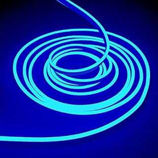 balabaxer Red Neon LED Strip Lights16.4 ft/5m 12V DC 600 SMD2835 LEDs Waterproof Rope Light for Indoor Outdoor Home Decoration  No Power Adapter