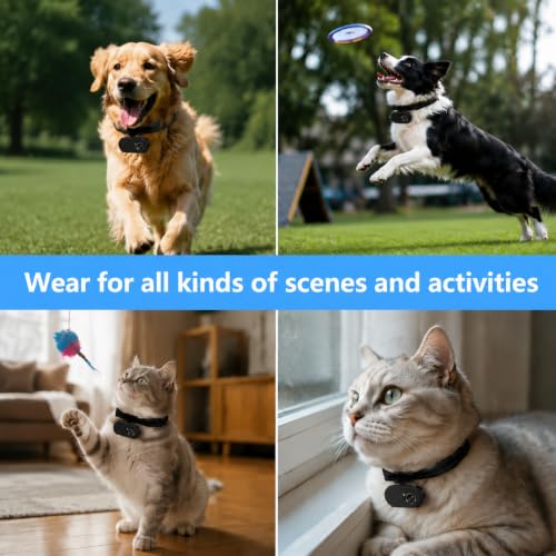 Image of HD 1080P Cat Camera Collar with Video Record Wireless Mini Sport cam,Small Action Cameras,Body Camera for Pet Supplies Stuff Outdoor /Inoor Birthday Gift No WiFi(Black)