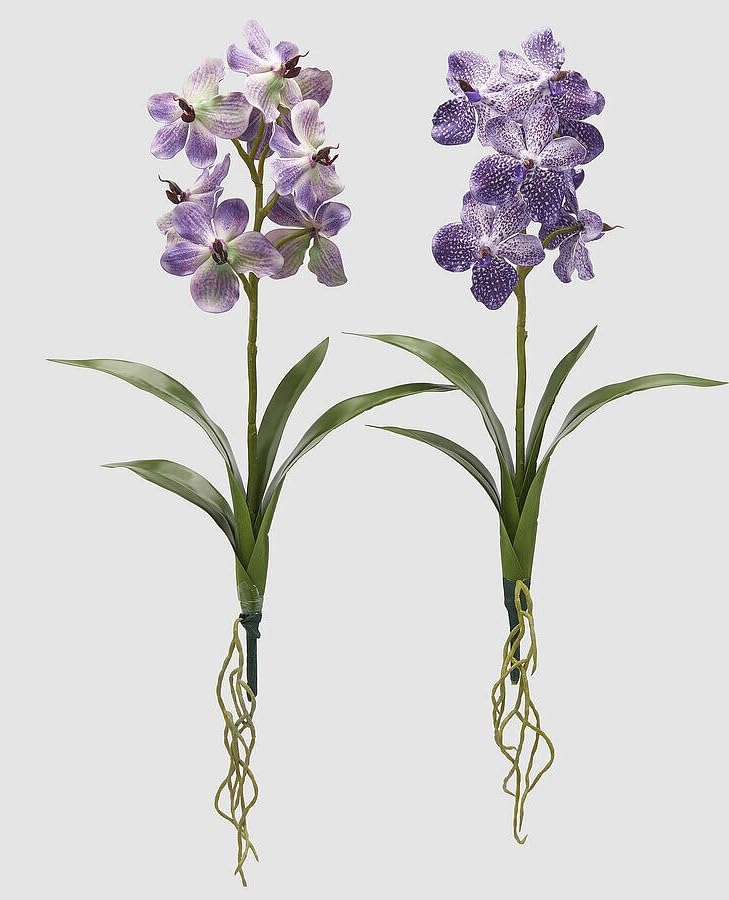 EDG Enzo De Gasperi Enzo De Gasperi Bush Orchidée Vanda Artificielle avec Feuille H 70 Cm Ass. Violet 1 Pcs